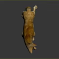 Realistic Wolf Animal Figure With Yellow Fur Standing On Dark Reflective Surface
