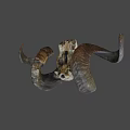 Animal Skull With Curved Horns And Natural Texture On Gray Background