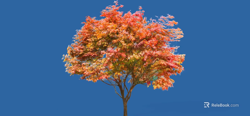 Autumn Arbor Tree With Vibrant Red Orange Leaves Against Blue Sky 3d model 
