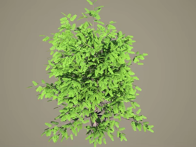 Lush Green Arbor Tree With Dense Canopy And Vibrant Foliage In Natural Scene 3d model