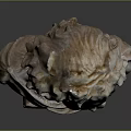 Head Character Portrait Head Various Heads Various Heads Head Carving Head Carving Portrait Face Carving 3d model