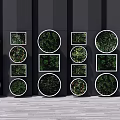 Plant Paintings on Black Wall with Circular and Square Frames Featuring Green Plants Neatly Arranged