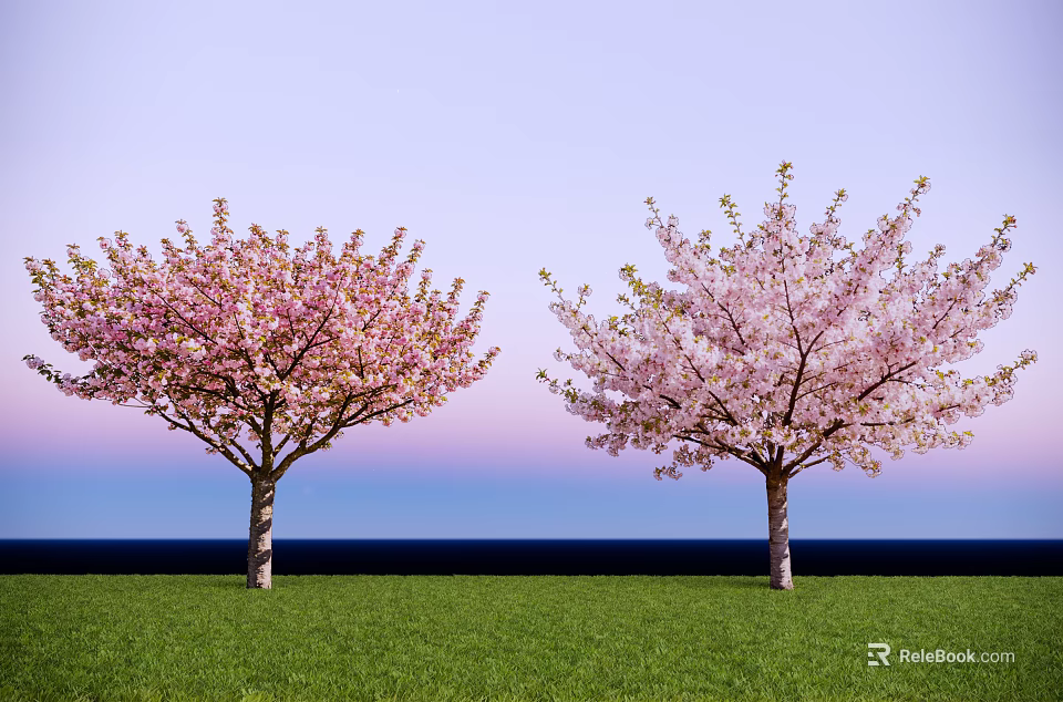 Cherry Trees With Pink Blossoms Standing On Green Grass Against Blue Sky 3d model 