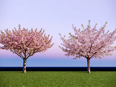 Cherry Trees With Pink Blossoms Standing On Green Grass Against Blue Sky 3d model