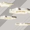 Modern Ceiling Lights with Round and Petal Shapes Silver Frames and Bright Glow 3d model