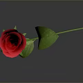 Red Rose With Green Stem And Leaves On Gray Background