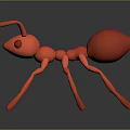Red Ant 3D Model With Antennae Legs And Gray Background Reflection 3d model