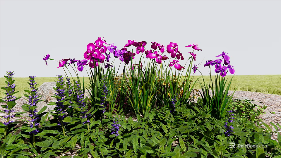 Pink and Purple Flowers Blooming with Green Leaves and Stones in Garden Bed 3d model 