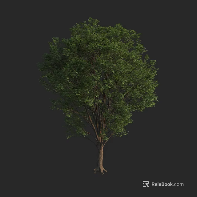Arbor With Lush Green Foliage And Strong Trunk On Dark Background 3d model 