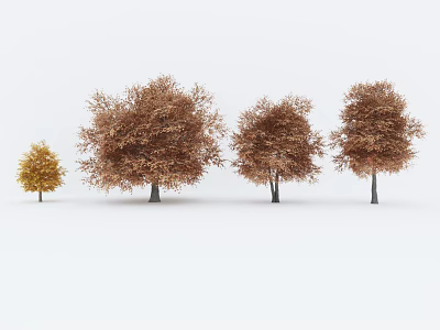 Deciduous Trees with Brown and Yellow Leaves of Various Sizes Isolated on White Background 3d model