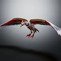 Handmade Flying Bird Sculpture With Red And White Feathered Wings Flying Gracefully In Mid Air
