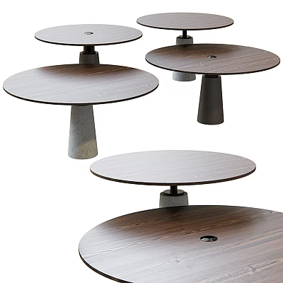 Modern Round Dining Table Combination With Wooden Tops And Stylish Stone Bases Design 3d model