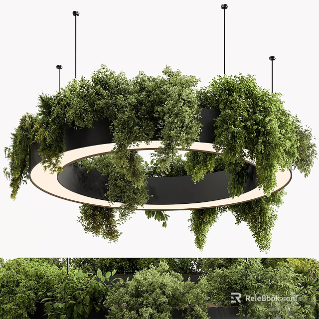 Circular Hanging Chandelier Decorated With Lush Green Plants For Indoor Space 3d model 