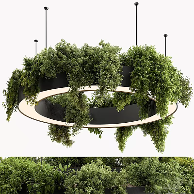 Circular Hanging Chandelier Decorated With Lush Green Plants For Indoor Space 3d model