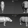 Hippo 3d model