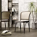 Stylish Leisure Chairs With Rattan Back Seat And Dark Legs Gray Wall Green Plant