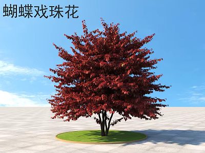 Vibrant Red Leaf Shrub With Dense Foliage Planted On Circular Green Lawn Against Blue Sky 3d model