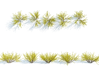 Modern shrubs 3d model