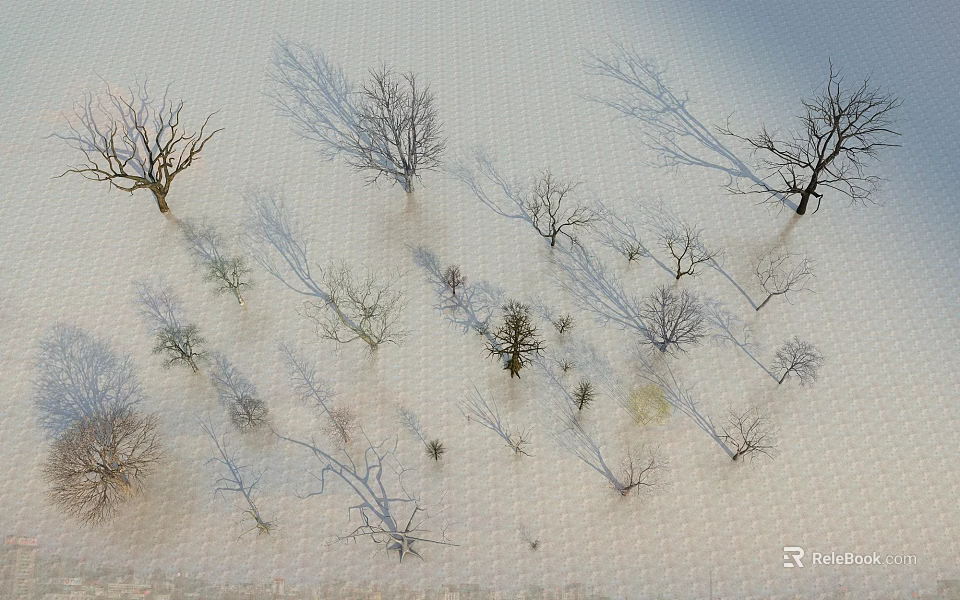 Aerial View of Leafless Arbor Trees in Winter Landscape with Sparse Distribution and Textured Ground 3d model 