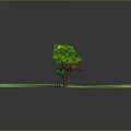 Green Grassland Featuring Wooden Bench And Two Trees In Scenic View