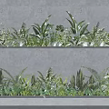 Various Green Plants Growing in Two Layer Gray Concrete Wall Planters 3d model
