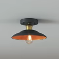 Stylish Ceiling Lights Featuring Black Gold Orange Silver Shades And Various Designs 3d model