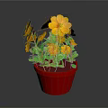 Potted Plant With Yellow Flowers And Green Leaves In Red Pot