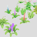 Colorful Plants Collection With Various Shapes And Different Colored Flowers In Illustration Style