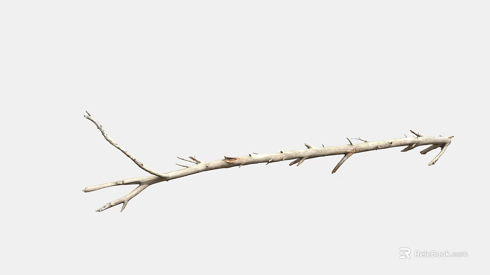 Light Brown Dry Plant Branch with Multiple Slender Forks on White Background 3d model 