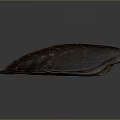 Turtle Cartoon Turtle Snapping Turtle Chickbill Turtle Reptile Cold Blooded Animal Reptile Class 3d model