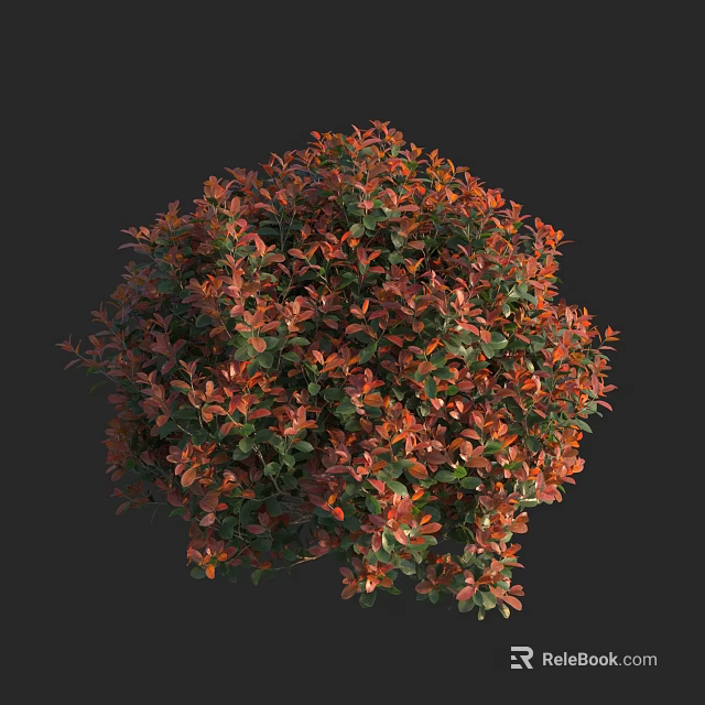 Round Shrub With Red And Green Foliage Lush Dense Growth For Garden Landscaping 3d model 