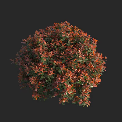 Round Shrub With Red And Green Foliage Lush Dense Growth For Garden Landscaping 3d model