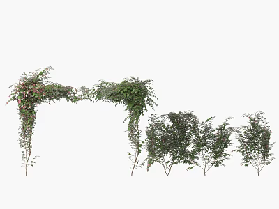 Decorative Garden Vines And Plants With Green And Red Leaves For Decoration 3d model
