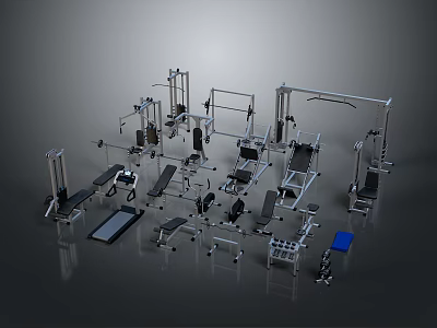 Diverse Fitness Equipment Collection Showcasing Weight Machines Benches and Training Racks 3d model