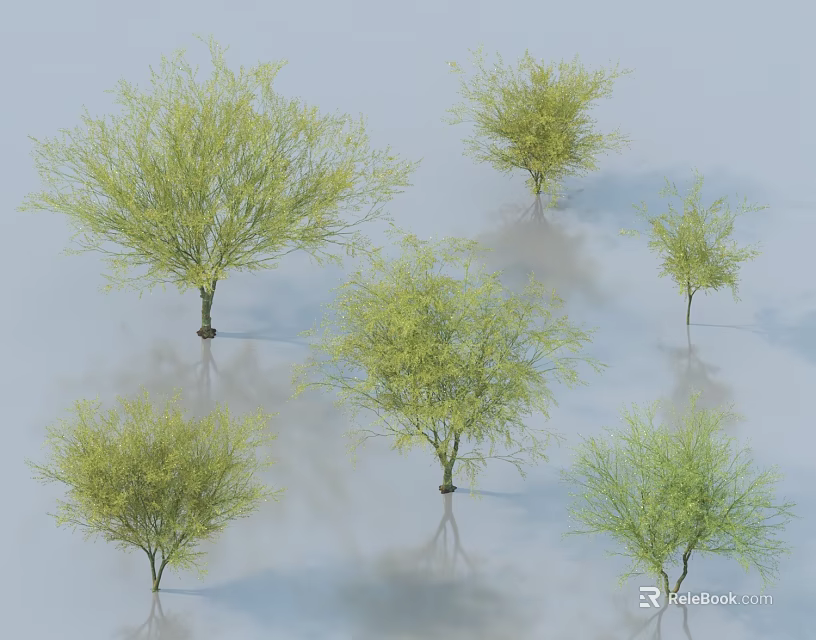 Green Leafy Trees In Various Sizes With Light Background And Reflections 3d model