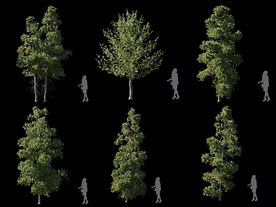 Various Forms of Trees with Green Foliage and Human Figure for Scale 3d model