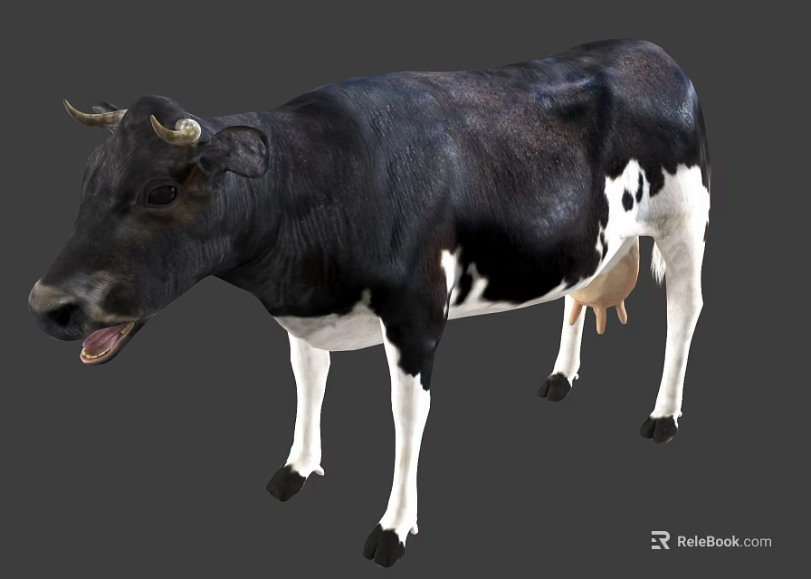 Black And White Cow With Horns Standing Against Gray Background 3d model 