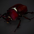 Shiny Dark Red Reptile With Horned Head And Long Legs On Black Background