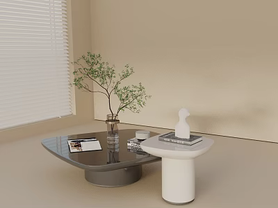 Sofa Coffee Table Set With Round Gray White Tables Magazines Green Plant Sculpture Beige Wall 3d model