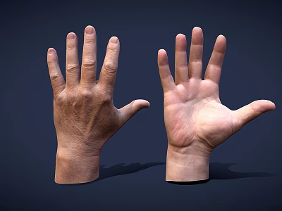 Two Human Hands Displaying Palm And Back Sides With Different Skin Tones On Dark Background 3d model