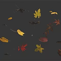 Falling Plant Leaves In Various Colors With Reflections On Dark Surface 3d model