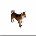 Realistic 3D Model Of Shiba Inu Dog With Brown White Coat Standing