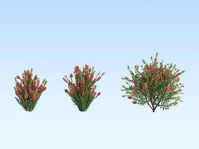 Shrubs with red flowers of different sizes against light blue sky 3d model
