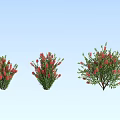 Shrubs with red flowers of different sizes against light blue sky