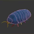 Blue Glossy Armored Insect Like Creature 3D Rendered Model With Shiny Exoskeleton