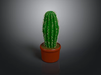Green Cactus Plant with Spines in Brown Terracotta Pot on Gray Background 3d model