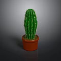 Green Cactus Plant with Spines in Brown Terracotta Pot on Gray Background