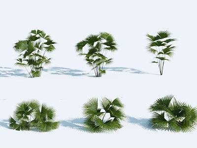 modern shrub plant green plant shrub 3d model