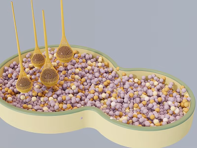 Decorative Light Green Container Filled With Purple Yellow Pellets And Golden Mesh Objects 3d model