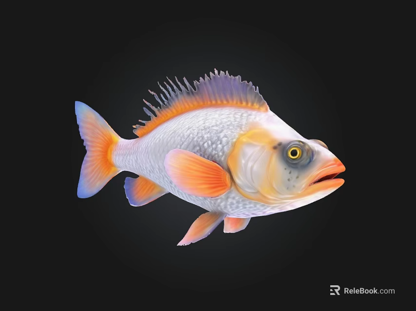 Colorful Aquatic Fish with Orange Red Fins Silver Body Purple Dorsal Fin and Yellow Eyes 3d model 